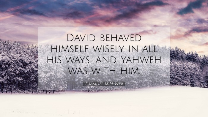 Picture 07 - 1 Samuel 18:14 WEB Desktop Wallpaper - David behaved himself wisely in all his ways; and - Desktop Bible Verse Wallpaper