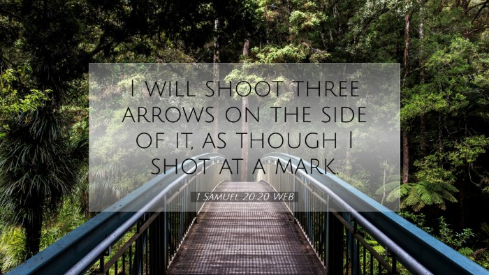 Picture 07 - 1 Samuel 20:20 WEB Desktop Wallpaper - I will shoot three arrows on the side of it, as - Desktop Bible Verse Wallpaper