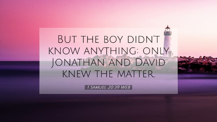 Picture 07 - 1 Samuel 20:39 WEB Desktop Wallpaper - But the boy didn't know anything: only Jonathan - Desktop Bible Verse Wallpaper