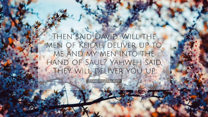 Picture 07 - 1 Samuel 23:12 WEB Desktop Wallpaper - Then said David, Will the men of Keilah deliver - Desktop Bible Verse Wallpaper