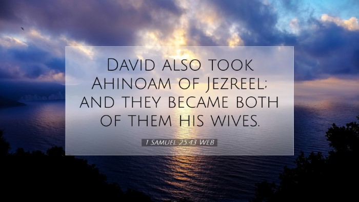Picture 07 - 1 Samuel 25:43 WEB Desktop Wallpaper - David also took Ahinoam of Jezreel; and they - Desktop Bible Verse Wallpaper