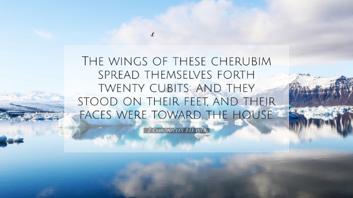 Picture 07 - 2 Chronicles 3:13 WEB Desktop Wallpaper - The wings of these cherubim spread themselves - Desktop Bible Verse Wallpaper