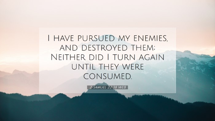Picture 07 - 2 Samuel 22:38 WEB Desktop Wallpaper - I have pursued my enemies, and destroyed them; - Desktop Bible Verse Wallpaper