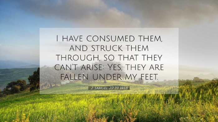 Picture 07 - 2 Samuel 22:39 WEB Desktop Wallpaper - I have consumed them, and struck them through, so - Desktop Bible Verse Wallpaper