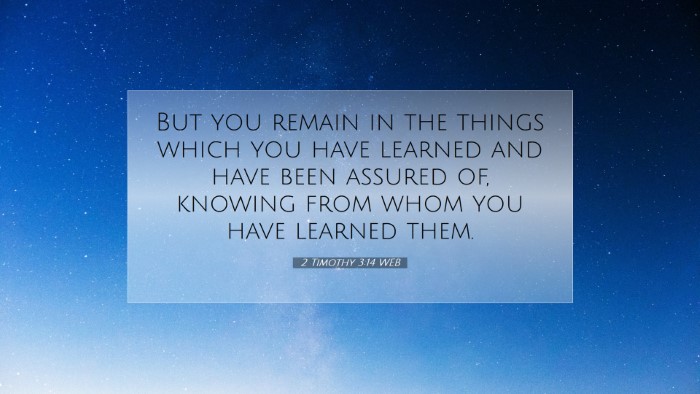 Picture 07 - 2 Timothy 3:14 WEB Desktop Wallpaper - But you remain in the things which you have - Desktop Bible Verse Wallpaper