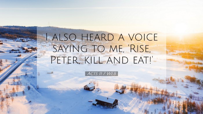 Picture 07 - Acts 11:7 WEB Desktop Wallpaper - I also heard a voice saying to me, 'Rise, Peter, - Desktop Bible Verse Wallpaper