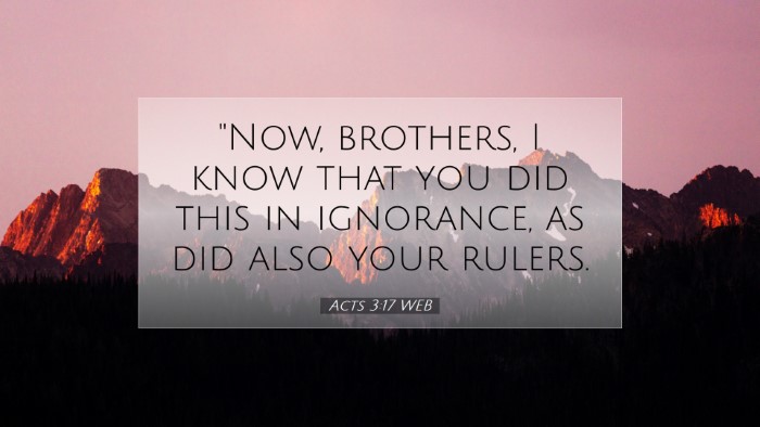 Picture 07 - Acts 3:17 WEB Desktop Wallpaper - 