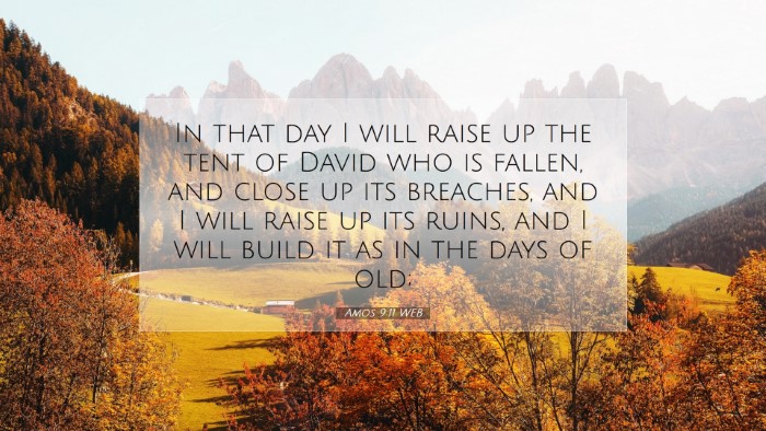 Picture 07 - Amos 9:11 WEB Desktop Wallpaper - In that day I will raise up the tent of David who - Desktop Bible Verse Wallpaper