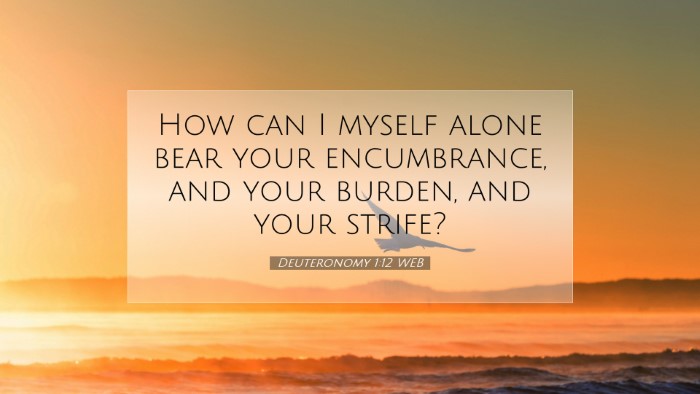 Picture 07 - Deuteronomy 1:12 WEB Desktop Wallpaper - How can I myself alone bear your encumbrance, and - Desktop Bible Verse Wallpaper