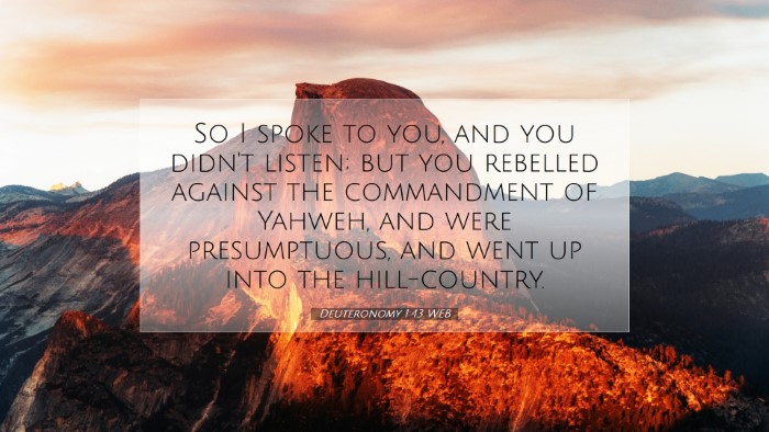 Picture 07 - Deuteronomy 1:43 WEB Desktop Wallpaper - So I spoke to you, and you didn't listen; but you - Desktop Bible Verse Wallpaper