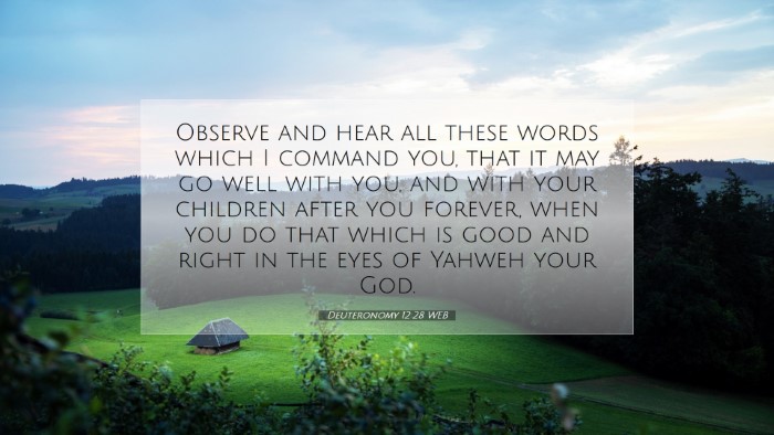 Picture 07 - Deuteronomy 12:28 WEB Desktop Wallpaper - Observe and hear all these words which I command - Desktop Bible Verse Wallpaper