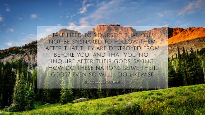 Picture 07 - Deuteronomy 12:30 WEB Desktop Wallpaper - take heed to yourself that you not be ensnared to - Desktop Bible Verse Wallpaper
