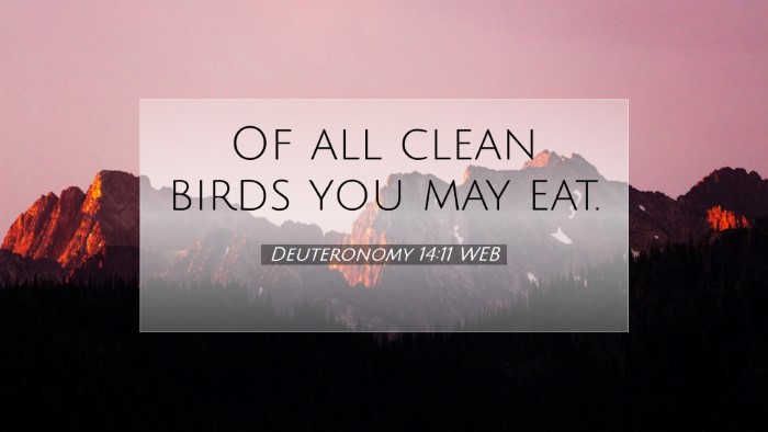 Picture 07 - Deuteronomy 14:11 WEB Desktop Wallpaper - Of all clean birds you may - Desktop Bible Verse Wallpaper