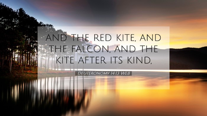 Picture 07 - Deuteronomy 14:13 WEB Desktop Wallpaper - and the red kite, and the falcon, and the kite - Desktop Bible Verse Wallpaper
