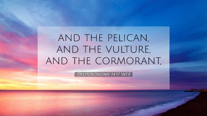 Picture 07 - Deuteronomy 14:17 WEB Desktop Wallpaper - and the pelican, and the vulture, and the - Desktop Bible Verse Wallpaper