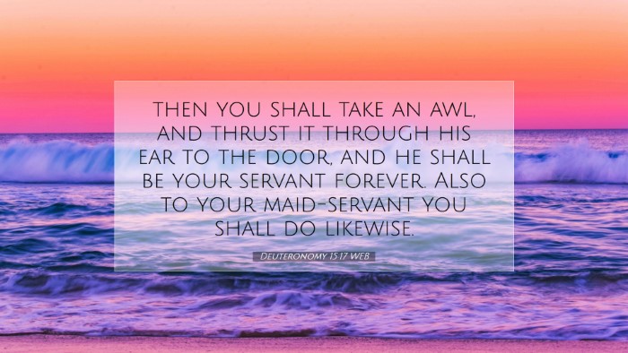 Picture 07 - Deuteronomy 15:17 WEB Desktop Wallpaper - then you shall take an awl, and thrust it through - Desktop Bible Verse Wallpaper