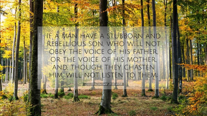 Picture 07 - Deuteronomy 21:18 WEB Desktop Wallpaper - If a man have a stubborn and rebellious son, who - Desktop Bible Verse Wallpaper