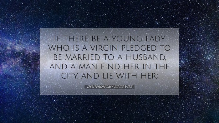Picture 07 - Deuteronomy 22:23 WEB Desktop Wallpaper - If there be a young lady who is a virgin pledged - Desktop Bible Verse Wallpaper