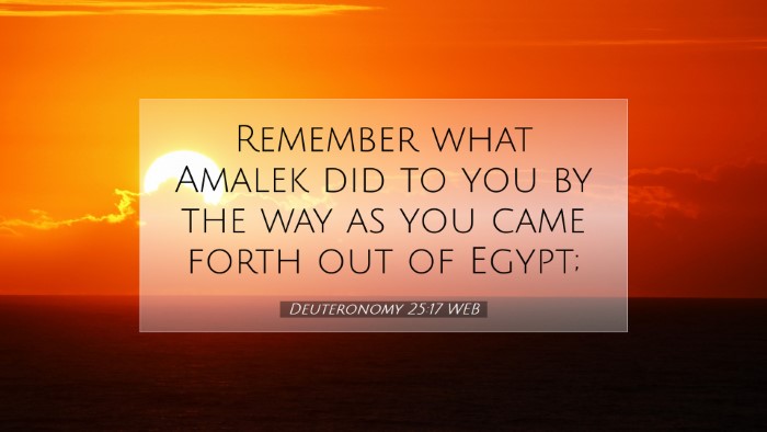 Picture 07 - Deuteronomy 25:17 WEB Desktop Wallpaper - Remember what Amalek did to you by the way as you - Desktop Bible Verse Wallpaper