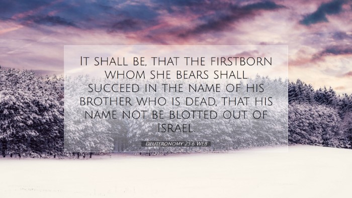 Picture 07 - Deuteronomy 25:6 WEB Desktop Wallpaper - It shall be, that the firstborn whom she bears - Desktop Bible Verse Wallpaper