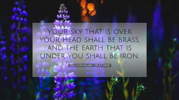 Picture 07 - Deuteronomy 28:23 WEB Desktop Wallpaper - Your sky that is over your head shall be brass, - Desktop Bible Verse Wallpaper