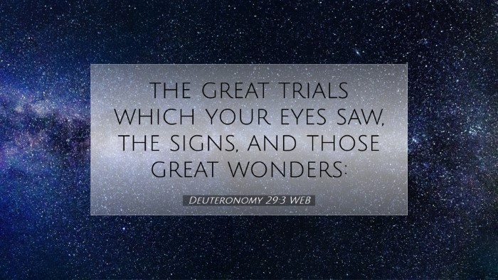 Picture 07 - Deuteronomy 29:3 WEB Desktop Wallpaper - the great trials which your eyes saw, the signs, - Desktop Bible Verse Wallpaper
