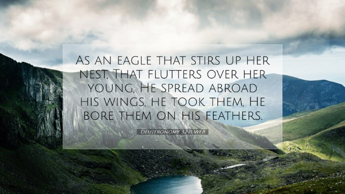 Picture 07 - Deuteronomy 32:11 WEB Desktop Wallpaper - As an eagle that stirs up her nest, That flutters - Desktop Bible Verse Wallpaper