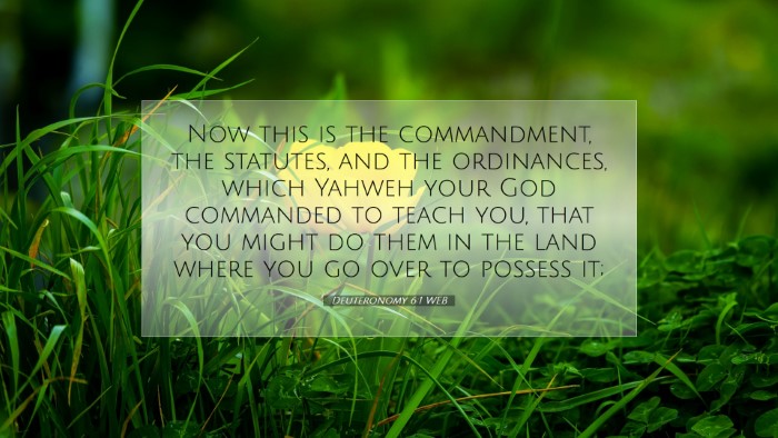 Picture 07 - Deuteronomy 6:1 WEB Desktop Wallpaper - Now this is the commandment, the statutes, and - Desktop Bible Verse Wallpaper