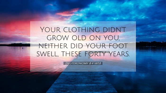 Picture 07 - Deuteronomy 8:4 WEB Desktop Wallpaper - Your clothing didn't grow old on you, neither did - Desktop Bible Verse Wallpaper
