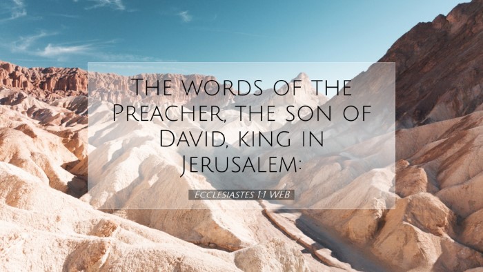 Picture 07 - Ecclesiastes 1:1 WEB Desktop Wallpaper - The words of the Preacher, the son of David, king - Desktop Bible Verse Wallpaper