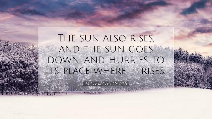 Picture 07 - Ecclesiastes 1:5 WEB Desktop Wallpaper - The sun also rises, and the sun goes down, and - Desktop Bible Verse Wallpaper