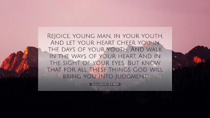 Picture 07 - Ecclesiastes 11:9 WEB Desktop Wallpaper - Rejoice, young man, in your youth, And let your - Desktop Bible Verse Wallpaper