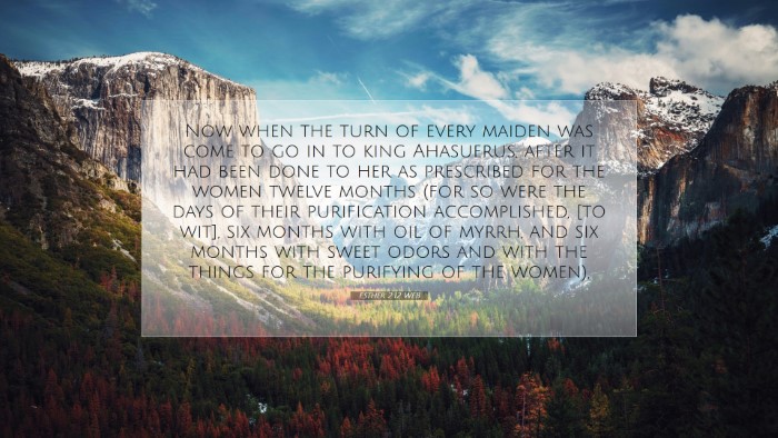 Picture 07 - Esther 2:12 WEB Desktop Wallpaper - Now when the turn of every maiden was come to go - Desktop Bible Verse Wallpaper