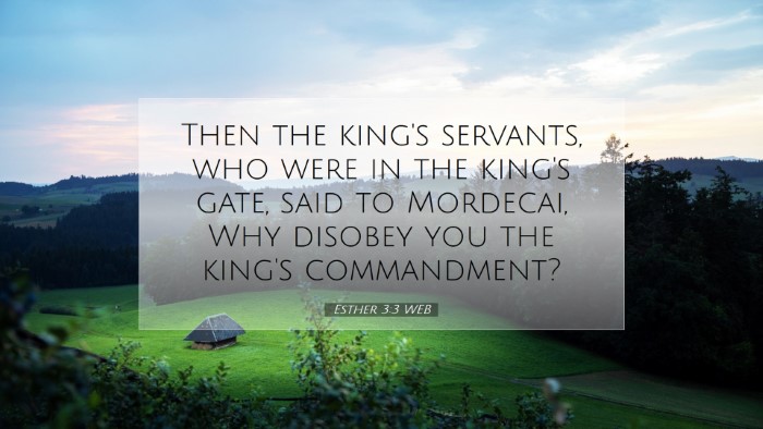 Picture 07 - Esther 3:3 WEB Desktop Wallpaper - Then the king's servants, who were in the king's - Desktop Bible Verse Wallpaper