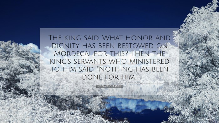 Picture 07 - Esther 6:3 WEB Desktop Wallpaper - The king said, What honor and dignity has been - Desktop Bible Verse Wallpaper