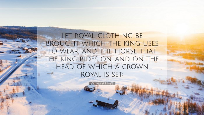Picture 07 - Esther 6:8 WEB Desktop Wallpaper - let royal clothing be brought which the king uses - Desktop Bible Verse Wallpaper
