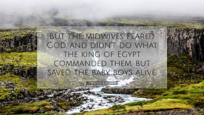 Picture 07 - Exodus 1:17 WEB Desktop Wallpaper - But the midwives feared God, and didn't do what - Desktop Bible Verse Wallpaper