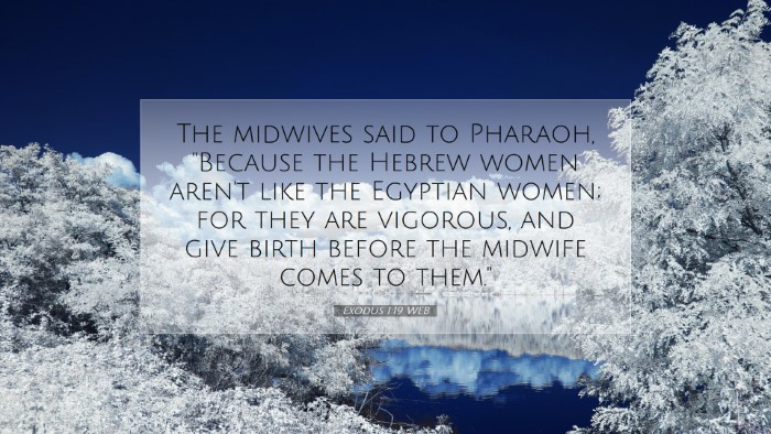 Picture 07 - Exodus 1:19 WEB Desktop Wallpaper - The midwives said to Pharaoh, 