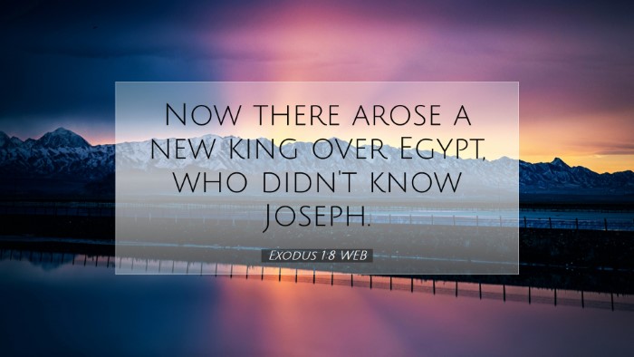 Picture 07 - Exodus 1:8 WEB Desktop Wallpaper - Now there arose a new king over Egypt, who didn't - Desktop Bible Verse Wallpaper