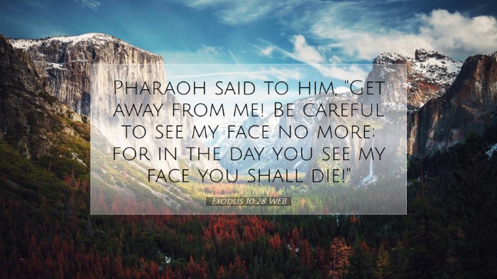 Picture 07 - Exodus 10:28 WEB Desktop Wallpaper - Pharaoh said to him, 