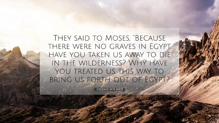 Picture 07 - Exodus 14:11 WEB Desktop Wallpaper - They said to Moses, 