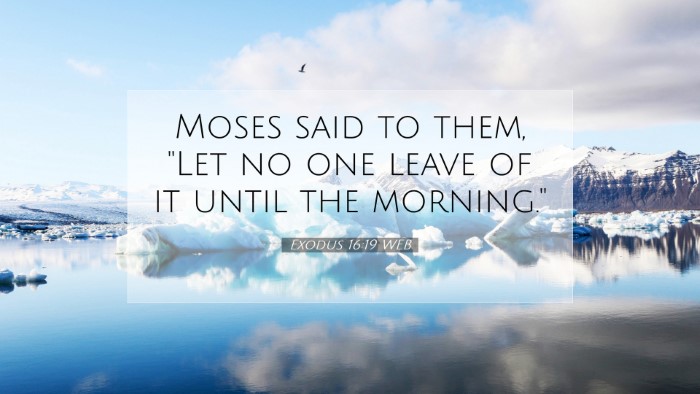 Picture 07 - Exodus 16:19 WEB Desktop Wallpaper - Moses said to them, 