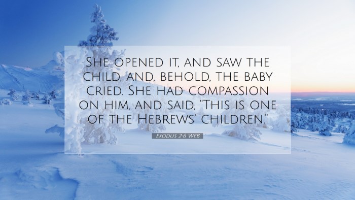 Picture 07 - Exodus 2:6 WEB Desktop Wallpaper - She opened it, and saw the child, and, behold, - Desktop Bible Verse Wallpaper