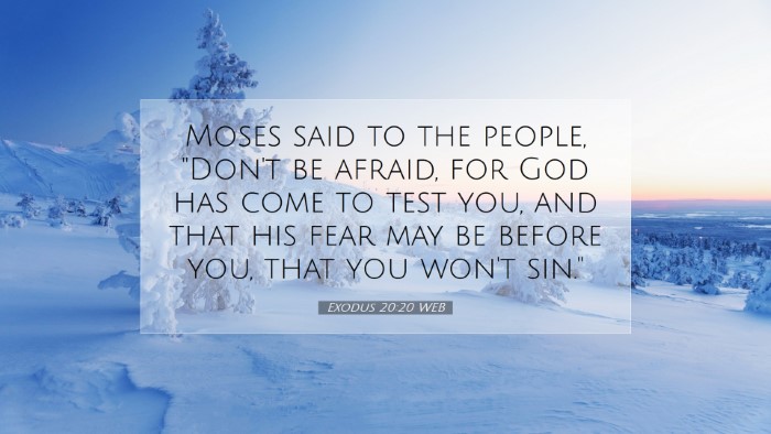 Picture 07 - Exodus 20:20 WEB Desktop Wallpaper - Moses said to the people, 