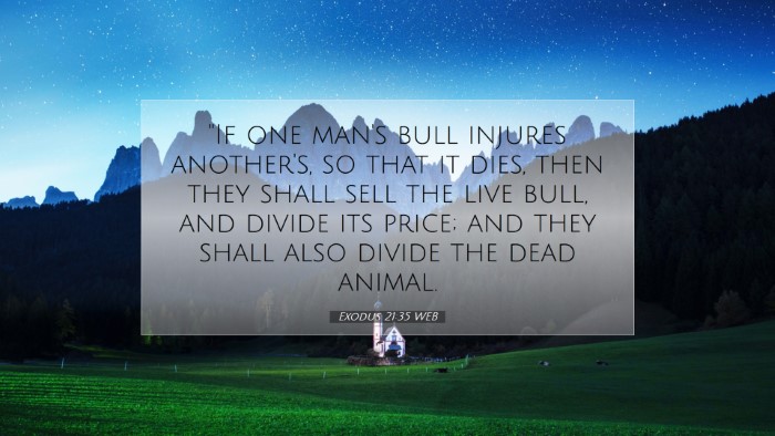 Picture 07 - Exodus 21:35 WEB Desktop Wallpaper - 