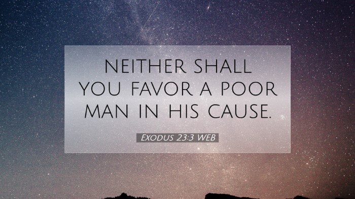 Picture 07 - Exodus 23:3 WEB Desktop Wallpaper - neither shall you favor a poor man in his - Desktop Bible Verse Wallpaper