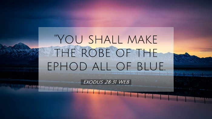 Picture 07 - Exodus 28:31 WEB Desktop Wallpaper - 