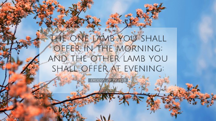 Picture 07 - Exodus 29:39 WEB Desktop Wallpaper - The one lamb you shall offer in the morning; and - Desktop Bible Verse Wallpaper