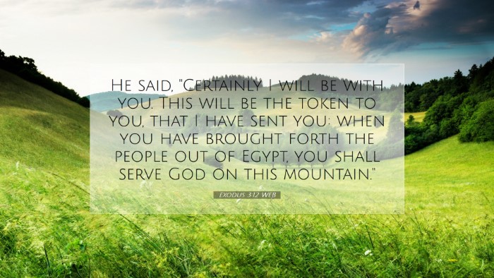 Picture 07 - Exodus 3:12 WEB Desktop Wallpaper - He said, 