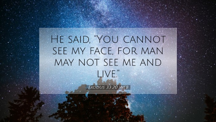 Picture 07 - Exodus 33:20 WEB Desktop Wallpaper - He said, 